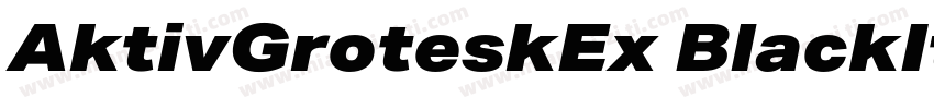 AktivGroteskEx BlackItalic字体转换